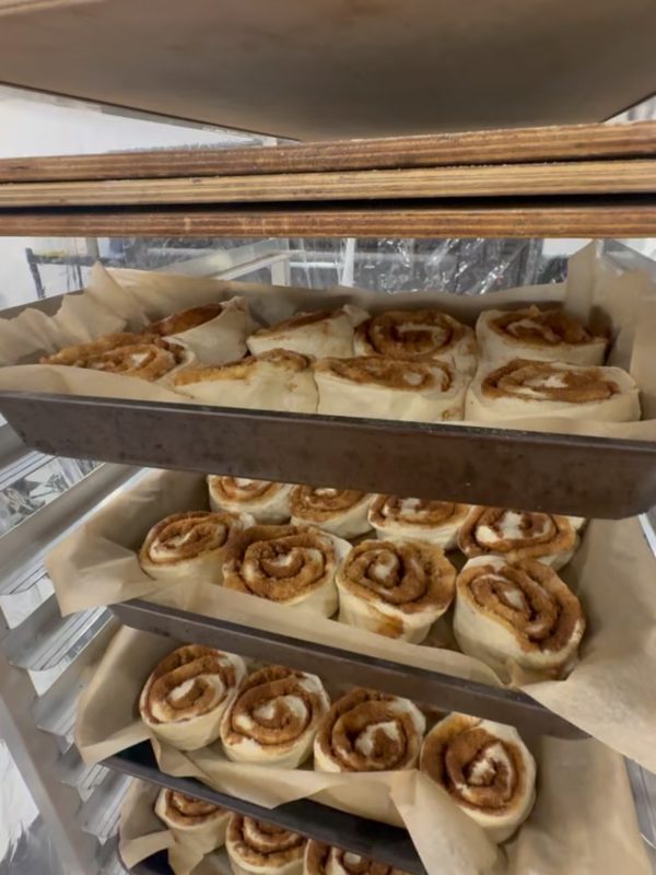 Trays of rolled cinnamon bun dough proofing on bakery racks before baking